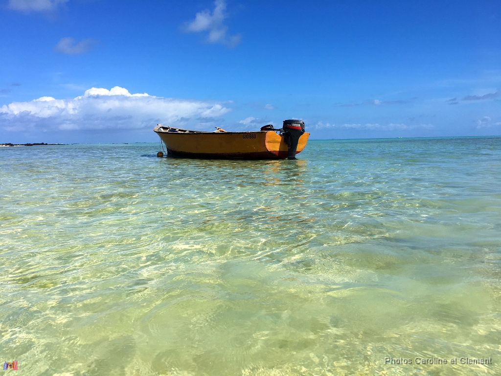 Ile Maurice Novembre 2016 84.jpg - Ile Maurice - Novembre 2016.